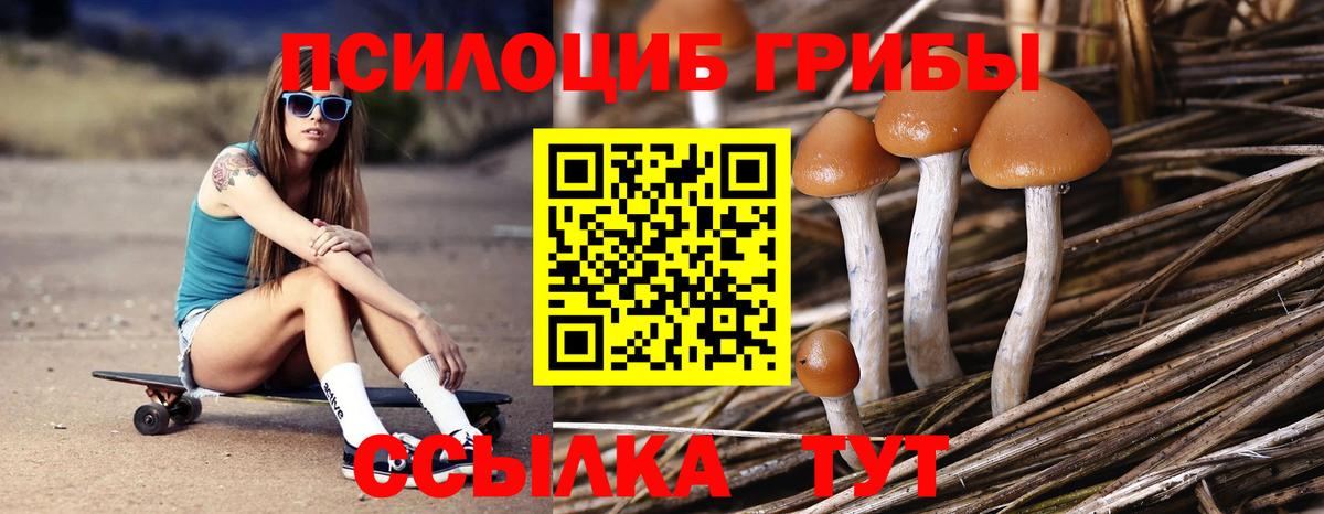 Галлюциногенные грибы мухоморы  Вход с VPN  Норильск  Псилоцибиновые грибы Psilocybine cubensis 